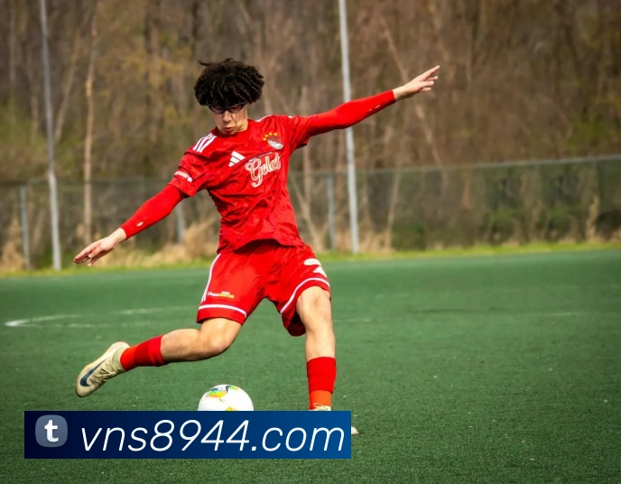 澳门威尼斯人网页平台生态图